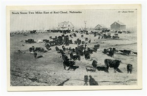 Image description is not available for PHO-264-703